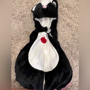 Baby skunk Halloween costume - like new!
